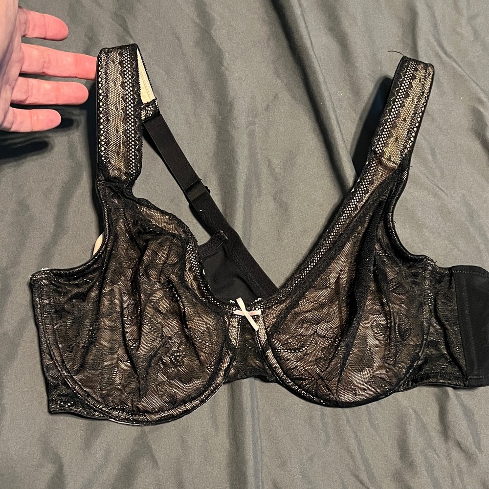 Lane Bryant, modern lace covered under wire bra size 38C